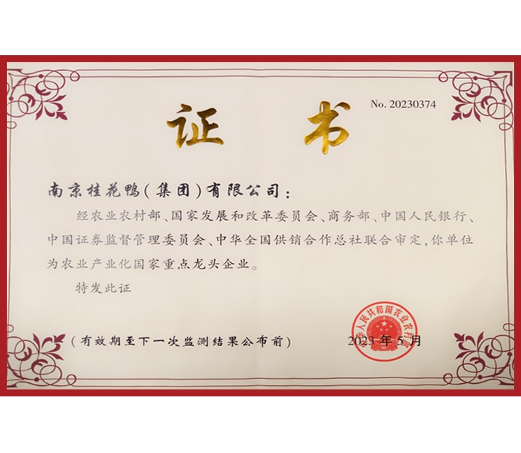 龙头企业